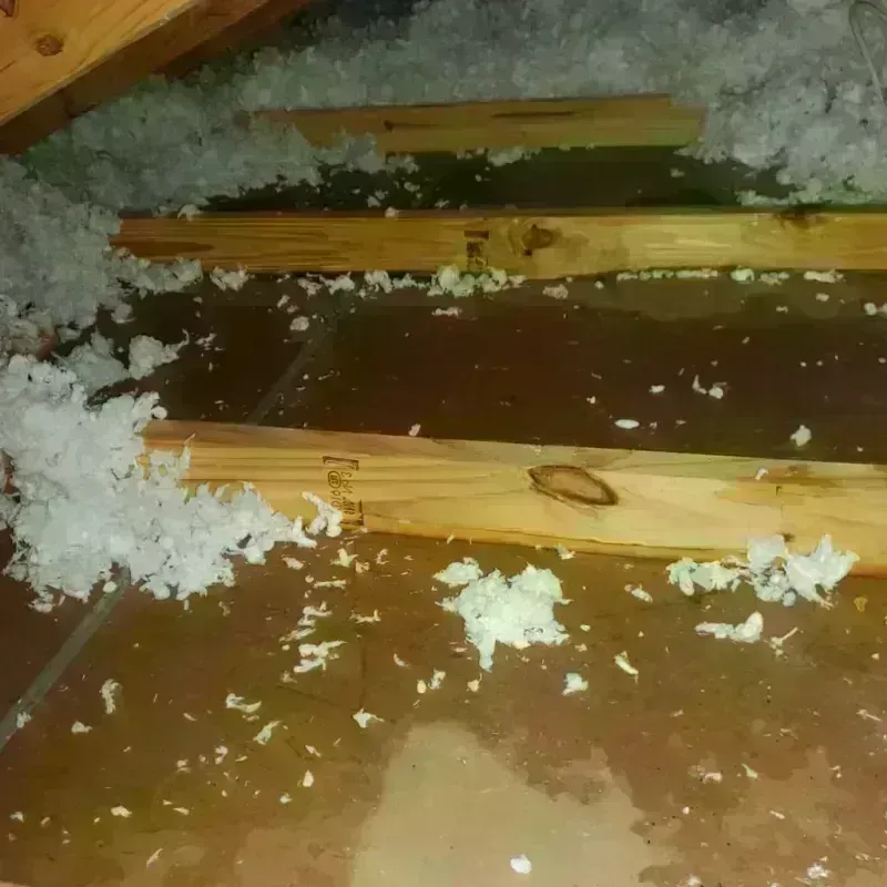 Attic Water Damage in Beverly, OH