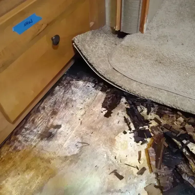 Best Wood Floor Water Damage Service in Beverly, OH